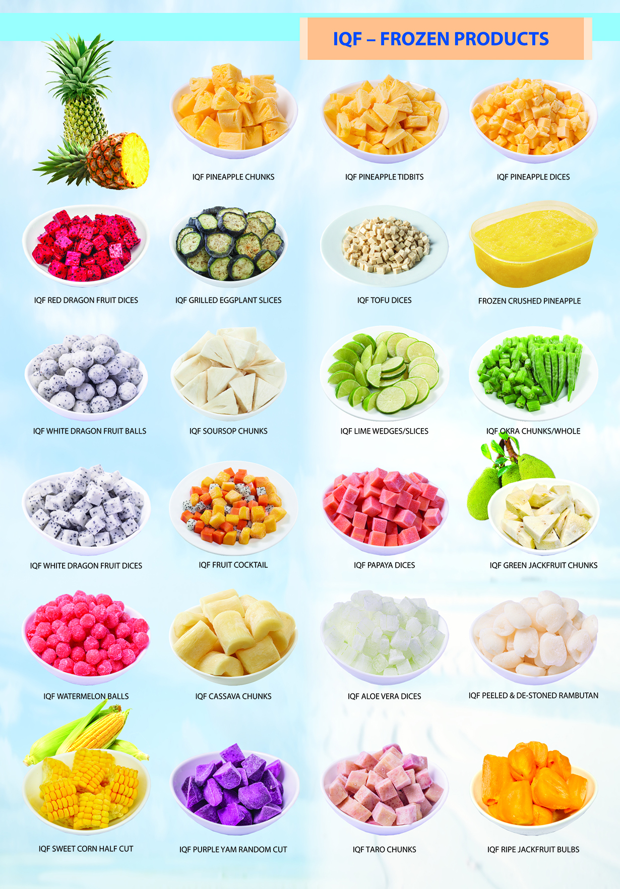 vegetigi-vietnam-fresh-vegetables-exporters-catalogue-2023-03